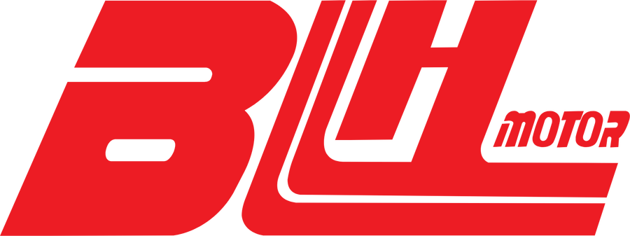 BLH Motor